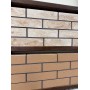 Цегла лицьова ECOBRICK колор мікс гладка  250x120x65 мм 