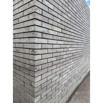 Цегла облицювальна гладка  250x120x65 мм "Женева"