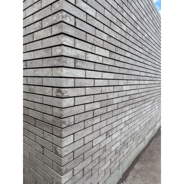 Цегла облицювальна гладка  250x120x65 мм "Женева"