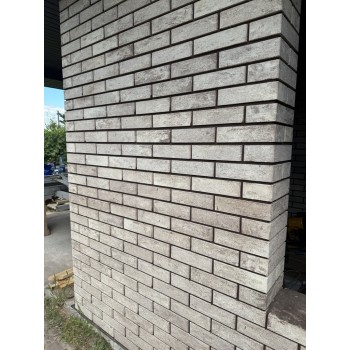 Цегла облицювальна для забора ECOBRICK Женева 250x120x65 мм 